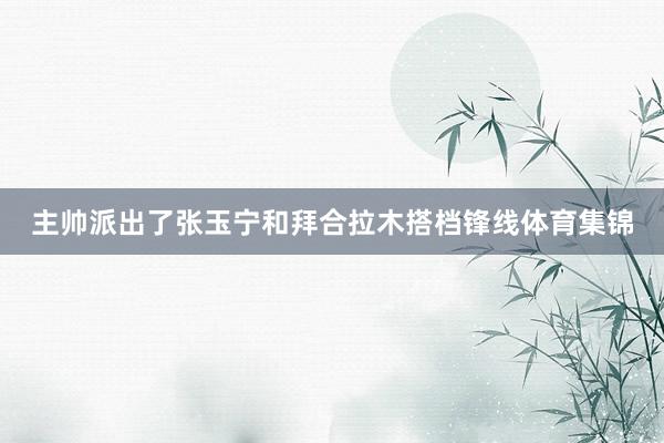 主帅派出了张玉宁和拜合拉木搭档锋线体育集锦