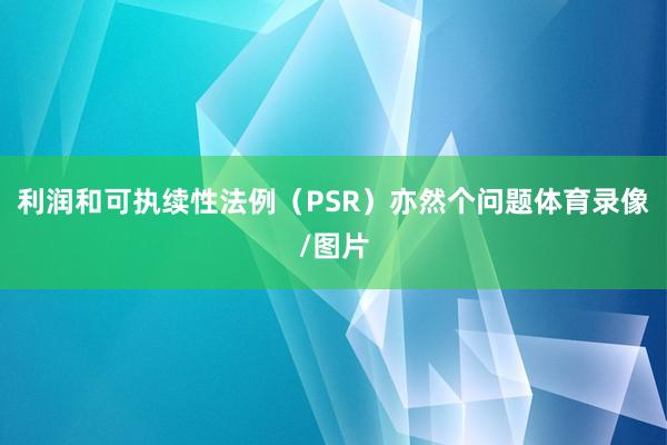 利润和可执续性法例(PSR)亦然个问题体育录像/图片