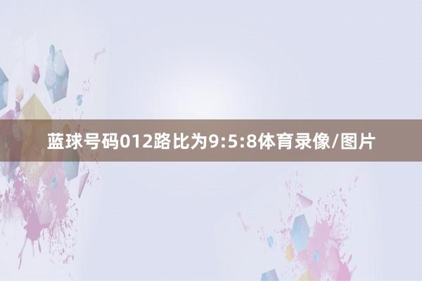 蓝球号码012路比为9:5:8体育录像/图片