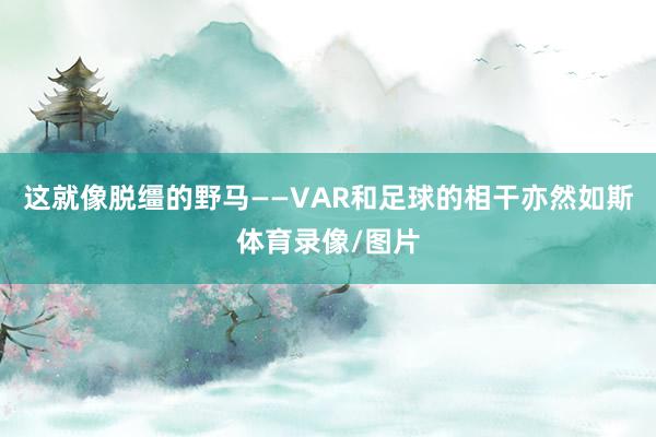 这就像脱缰的野马——VAR和足球的相干亦然如斯体育录像/图片