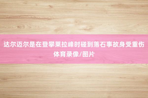 达尔迈尔是在登攀莱拉峰时碰到落石事故身受重伤体育录像/图片