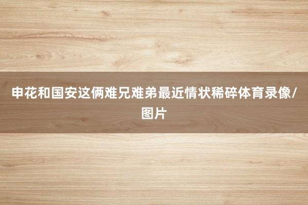 申花和国安这俩难兄难弟最近情状稀碎体育录像/图片
