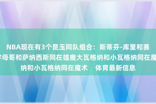 NBA现在有3个昆玉同队组合：斯蒂芬-库里和赛斯-库里同在骁雄字母哥和萨纳西斯同在雄鹿大瓦格纳和小瓦格纳同在魔术    体育最新信息
