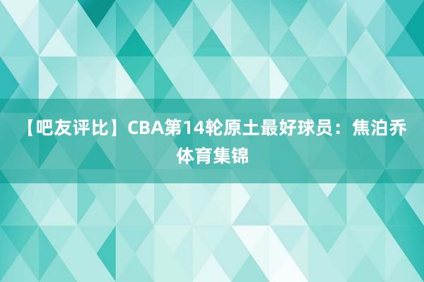 【吧友评比】CBA第14轮原土最好球员：焦泊乔体育集锦