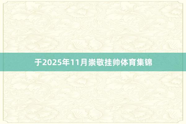 于2025年11月崇敬挂帅体育集锦