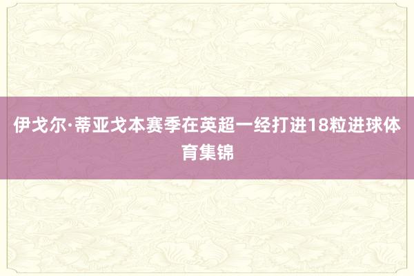 伊戈尔·蒂亚戈本赛季在英超一经打进18粒进球体育集锦