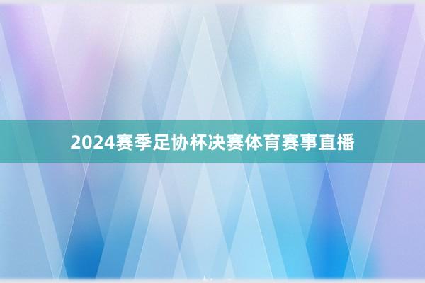 2024赛季足协杯决赛体育赛事直播