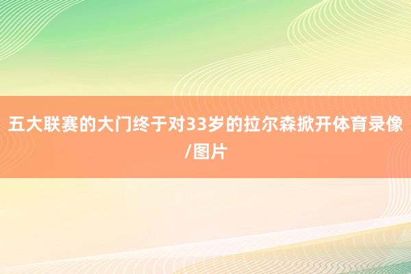五大联赛的大门终于对33岁的拉尔森掀开体育录像/图片