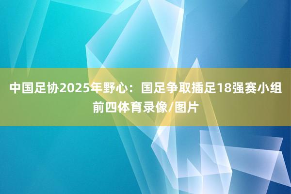 中国足协2025年野心：国足争取插足18强赛小组前四体育录像/图片