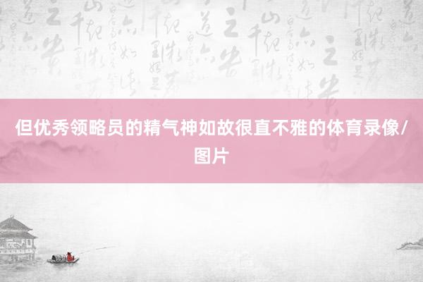但优秀领略员的精气神如故很直不雅的体育录像/图片