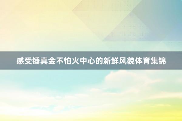 感受锤真金不怕火中心的新鲜风貌体育集锦