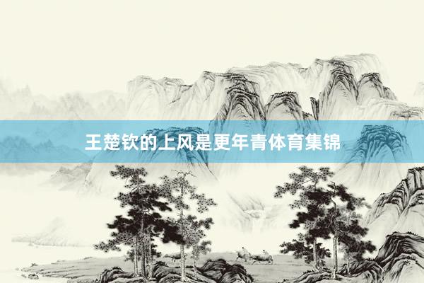 王楚钦的上风是更年青体育集锦