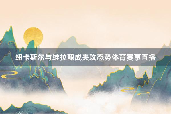 纽卡斯尔与维拉酿成夹攻态势体育赛事直播