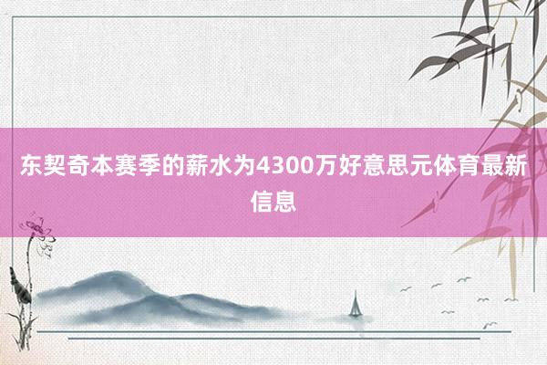 东契奇本赛季的薪水为4300万好意思元体育最新信息