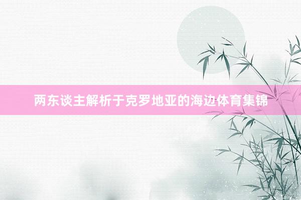 两东谈主解析于克罗地亚的海边体育集锦