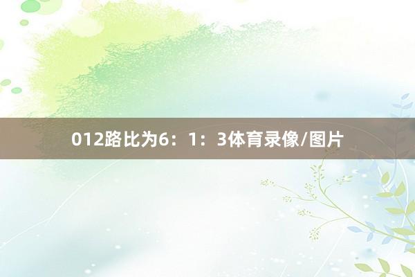 012路比为6：1：3体育录像/图片