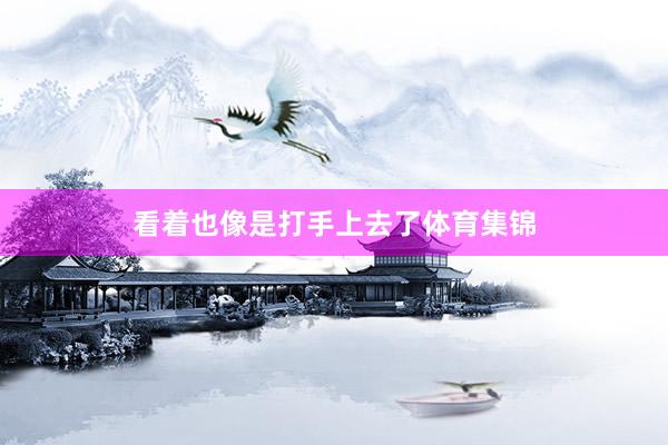 看着也像是打手上去了体育集锦