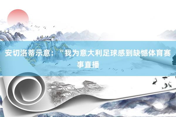 安切洛蒂示意：“我为意大利足球感到缺憾体育赛事直播