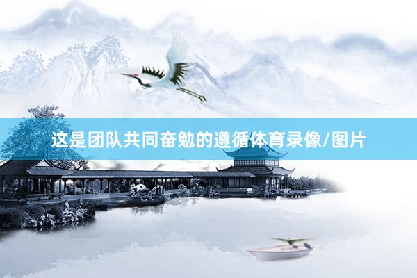 这是团队共同奋勉的遵循体育录像/图片