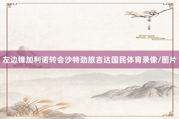 左边锋加利诺转会沙特劲旅吉达国民体育录像/图片