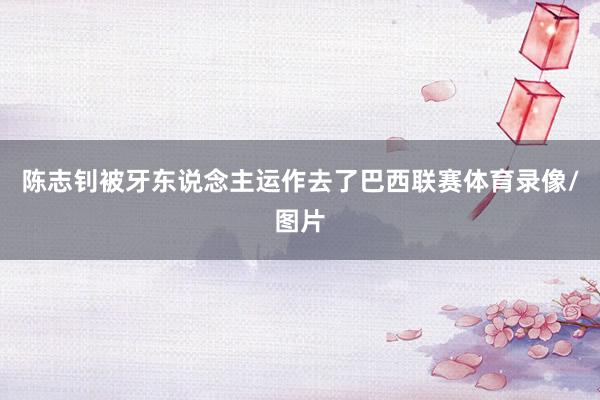 陈志钊被牙东说念主运作去了巴西联赛体育录像/图片