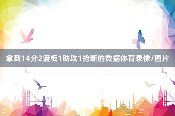 拿到14分2篮板1助攻1抢断的数据体育录像/图片