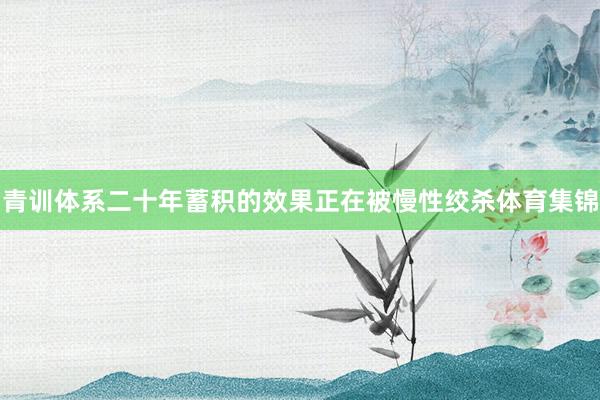 青训体系二十年蓄积的效果正在被慢性绞杀体育集锦
