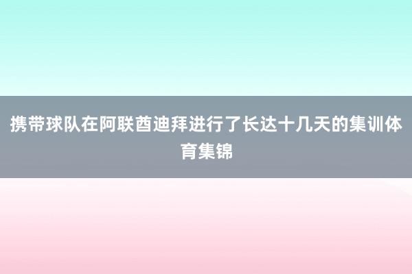 携带球队在阿联酋迪拜进行了长达十几天的集训体育集锦