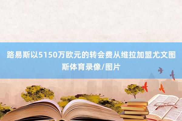 路易斯以5150万欧元的转会费从维拉加盟尤文图斯体育录像/图片