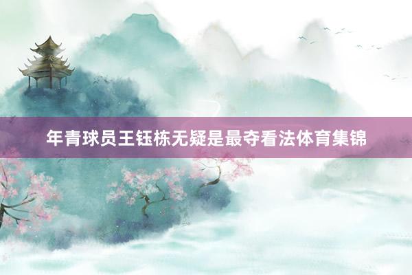 年青球员王钰栋无疑是最夺看法体育集锦