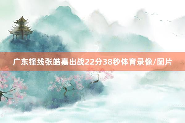 广东锋线张皓嘉出战22分38秒体育录像/图片