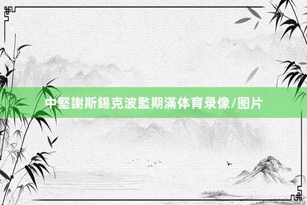 中堅謝斯錫克波監期滿体育录像/图片