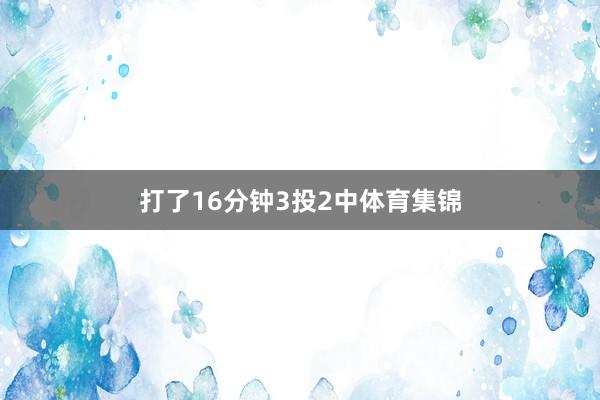 打了16分钟3投2中体育集锦
