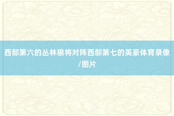 西部第六的丛林狼将对阵西部第七的英豪体育录像/图片