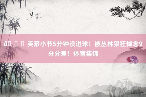 🙄英豪小节5分钟没进球！被丛林狼狂悼念9分分差！体育集锦