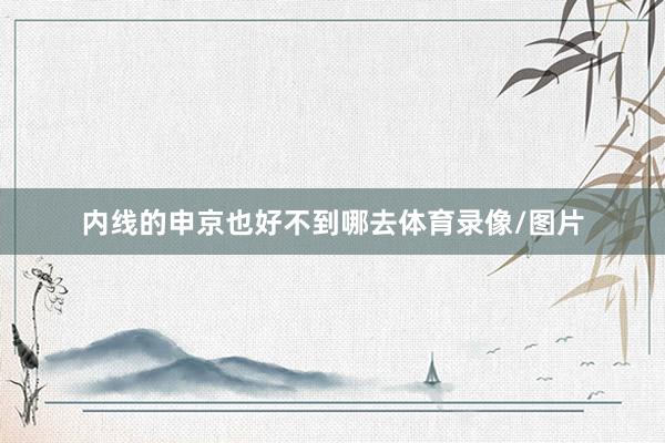 内线的申京也好不到哪去体育录像/图片