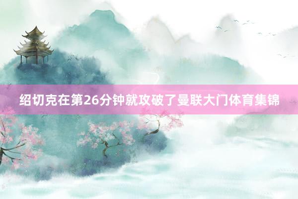 绍切克在第26分钟就攻破了曼联大门体育集锦