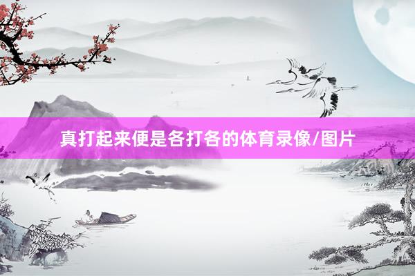 真打起来便是各打各的体育录像/图片