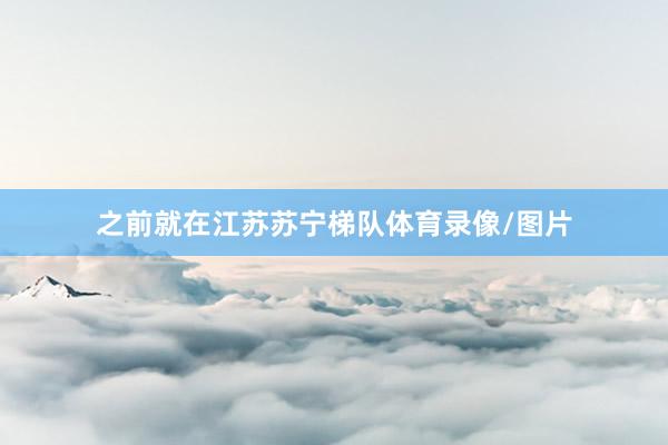 之前就在江苏苏宁梯队体育录像/图片