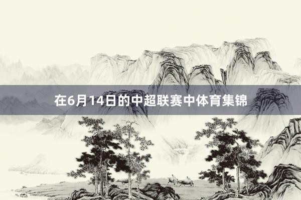 在6月14日的中超联赛中体育集锦
