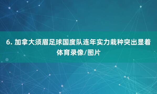 6. 加拿大须眉足球国度队连年实力栽种突出显着体育录像/图片