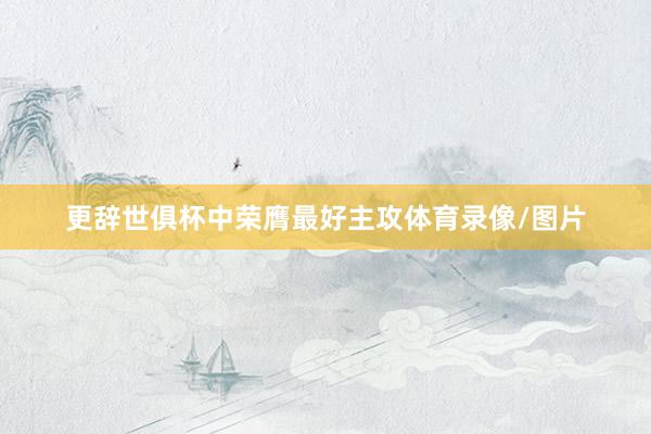 更辞世俱杯中荣膺最好主攻体育录像/图片