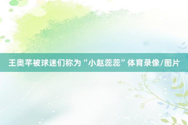 王奥芊被球迷们称为“小赵蕊蕊”体育录像/图片