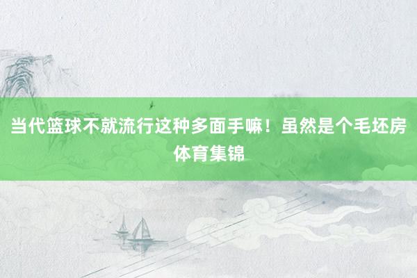 当代篮球不就流行这种多面手嘛！虽然是个毛坯房体育集锦