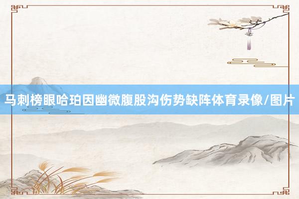 马刺榜眼哈珀因幽微腹股沟伤势缺阵体育录像/图片