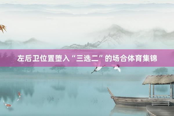 左后卫位置堕入“三选二”的场合体育集锦