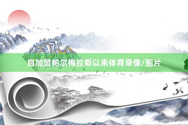 自加盟帕尔梅拉斯以来体育录像/图片