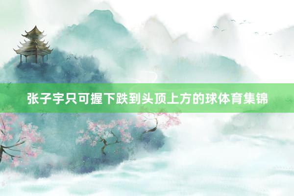 张子宇只可握下跌到头顶上方的球体育集锦