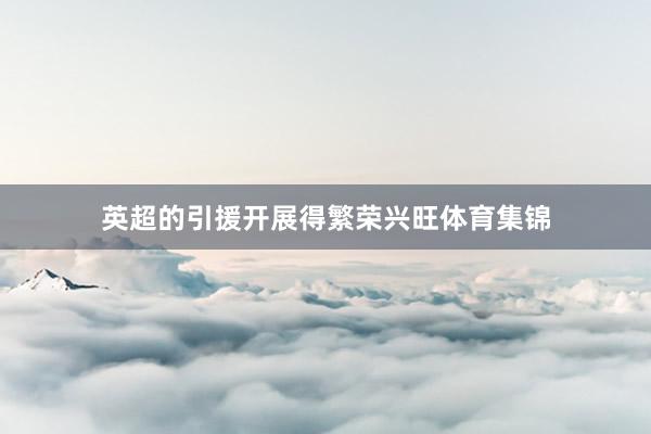 英超的引援开展得繁荣兴旺体育集锦