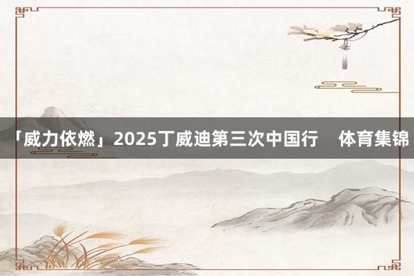 「威力依燃」2025丁威迪第三次中国行    体育集锦